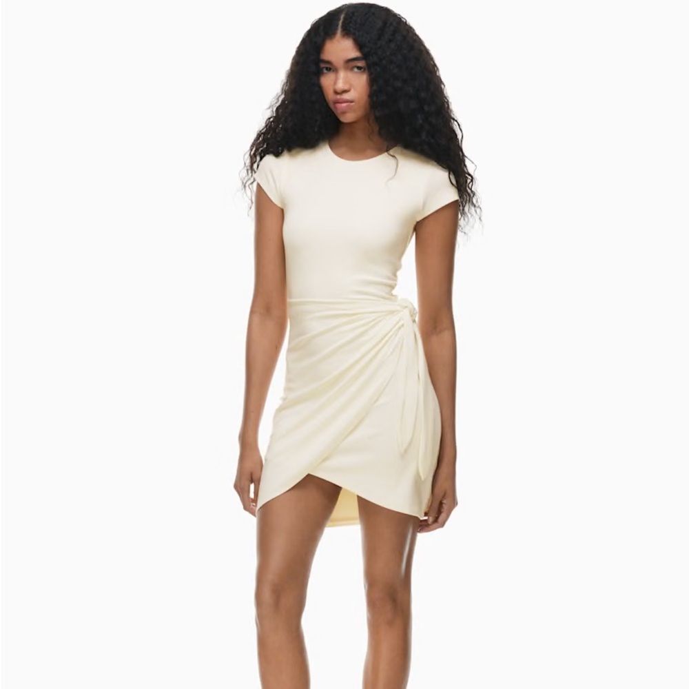 New Lune Aritzia Dress